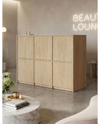 Minimalistyczna recepcja do salonu beauty SALEM