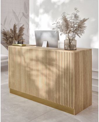 ASHER Reception Desk: Grooved Reception Counter for a Beauty Salon—Modern Beauty Salon Reception Desk